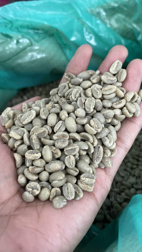 Ethiopia Chelchele Natural