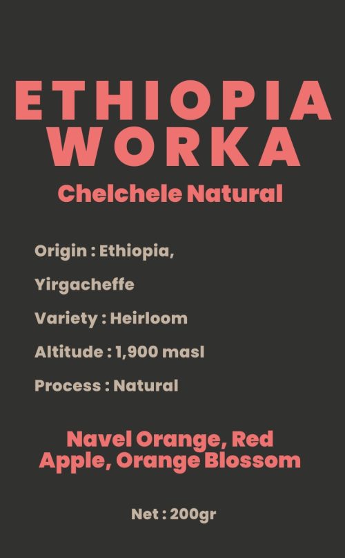 stiker-wolf-2026-pdf-3 ETHIOPIA WORKA CHELCHELE - NATURAL
